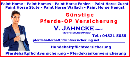 Paint-Horse